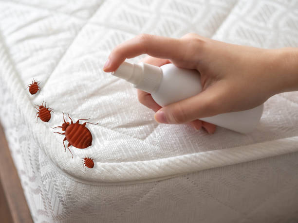 Best Bed Bug Extermination  in Southeast Arcadia, FL